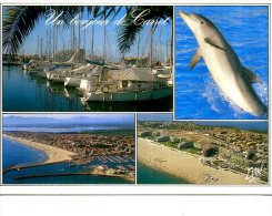 66 LE CANET 4 VUES 1 CARTE DAUPHIN POISSON BATEAUC - Canet En Roussillon