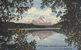 Reflections In Lost Lake Mount Hood Oregon - Otros & Sin Clasificación