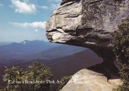 Caesars Head State Park Upper Greenville County South Carolina - Greenville
