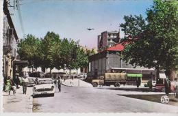 TIARET  ALGERIE LE MARCHE BELLE CARTE ANIMEE RARE !!! - Tiaret