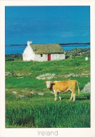 Irlanda--Donegal--Correo Aereo--Envio A Argeliers, Francia - Donegal