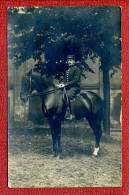 Carte Photo : Militaire à Cheval Dans Un Parc ( ? ) Sous Des Arbres - Uniforms