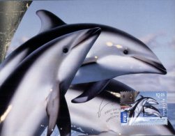 (677) WWF Australia Maximum Postcard - Dusky Dolphin - - Dauphins