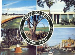 (600) Australia - NSW - Dubbo Greetings - Dubbo