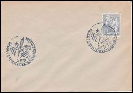 Yugoslavia 1958, Cover W./ Special Postmark  Philatelic Exhibition In Senta 1958 - Brieven En Documenten