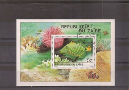 CONGO ZAIRE  Poisson 1980    (ref670 B ) - Oblitérés