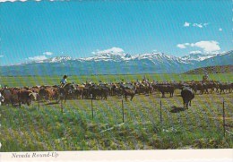 Nevada Round Up Bringing The Herd To Lower Pastures After The First Snowa In The Mountains Reno Nevada - Reno