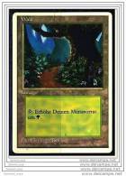 Karte Magic The Gathering  -  Land  -  Wald  -  Deutsch - Altri & Non Classificati