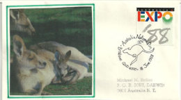 AUSTRALIE. Le Kangourou, Enveloppe Souvenir De Brisbane 1988 - Brieven En Documenten