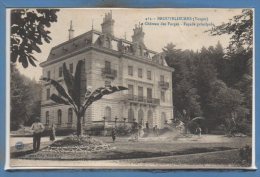 88 - BROUVELIEURES --  Le Château Des Forges - Brouvelieures