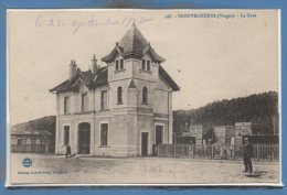 88 - BROUVELIEURES --  La Gare - Brouvelieures