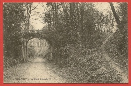 MONTSOULT Rare Le Pont D'Arcole (Frémont) Val D´Oise (95) - Montsoult