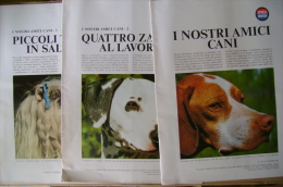 PBY/38 I NOSTRI AMICI CANI Inserti EPOCA-UNIVERSO Anni ´70/POINTER/SPINONE/LEVRI ERO/DALMATA/MALTESE/BARBO NCINO - Pets