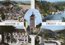 39-SOUVENIR De ORGELET- Multivues- Cpsm - Orgelet