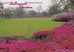 The Great Lawn Bellingrath Gardens Theodore Alabama 1998 - Altri & Non Classificati