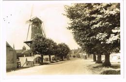 "Molen - Sluis" - Sluis