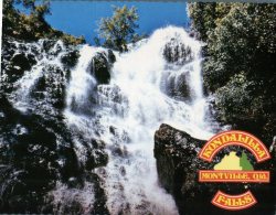 (312) Australia - QLD - Kondalilla Falls - Atherton Tablelands