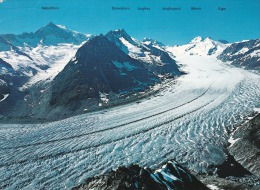 Suiza--Valais--1994--Eggishorn---Oberwald-a, Chazay D'Azergus, Francia - Oberwald