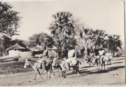 Cpa  Niger  Niamey  En Route Pour Le Marche - Niger