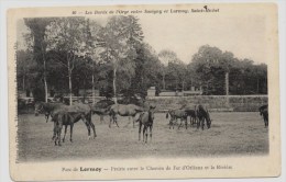 SAINT MICHEL Sur ORGE - 91 - Essonne - Les Chevaux à La Prairie - Parc De LORMOY - Achat Immédiat - Saint Michel Sur Orge