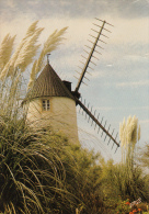 85 - BEAUVOIR SUR MER - Moulin De St Esprit 1972 - Beauvoir Sur Mer