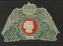 AUSTRIA HUNGARY 1916 WW1 FUND RAISING POSTER STAMP GREEN SUPERB HM CINDERELLA ERINOPHILATELIE - Personalisierte Briefmarken