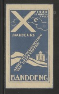 NETHERLANDS 1929 BANDOENG 10TH FAIR & MINERALS EXHIBITION BLUE NO GUM POSTER STAMP CINDERELLA ERINOPHILATELIE - Unused Stamps