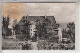 5750 MENDEN, DJH, Jugendherberge, 1959, Fleck - Menden
