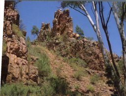 (456) Australia - SA - Flinders Ranges - Quorn Warren Gorge - Flinders Ranges