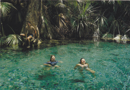 AUSTRALIE,AUSTRALIA,MATARANKA,THERMAL POOL,piscine Naturelle,nageur,touriste Français - Autres & Non Classés