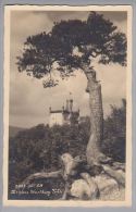 SO Olten Schloss Wartburg 1913-08-23 Foto #3057 - Olten