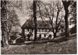 C1960 SCHLOSS HOCHAUSEN / NECKAR - HOCHHAUSEN BEI MOSBACH BADEN - Mosbach