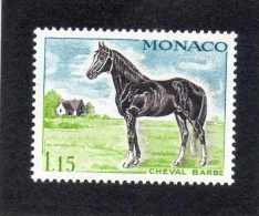 MONACO : Chevaux De Sang : Cheval Barbe - Equidés - Mammifères - - Briefe U. Dokumente