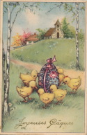 Jolie Carte Fantaisie Poussins Et Oeuf De "Joyeuses Pâques " Signée HANNES PETERSEN - Petersen, Hannes