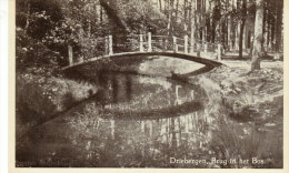 Brug In Het Bos - Driebergen – Rijsenburg