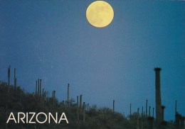 Arizona Tempe Moonlit Desert - Tempe