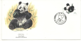 CHINA GIANT PANDA .ENVELOPPE TIMBRE 20 - Brieven En Documenten