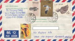 BUDDHA STATUE, STORK, MAN, WORLD, STAMPS ON COVER, 1990, CHINA - Lettres & Documents
