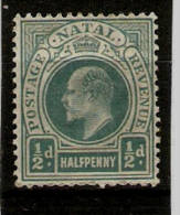 NATAL 1902 - 1903 ½d SG 127  MOUNTED MINT Cat £7 - Natal (1857-1909)