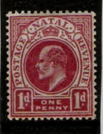 NATAL 1902 - 1903 1d SG 128  VERY LIGHTLY MOUNTED MINT Cat £12 - Natal (1857-1909)