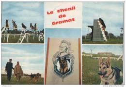 CHENIL CENTRAL DE LA GENDARMERIE NATIONALE  LE 18 07 1979 - Gramat