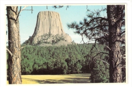 Devils Tower National Monument, Wyoming - Sonstige & Ohne Zuordnung