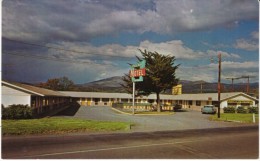 Southern OR Oregon, Phoenix Motel, Motel Sign, Auto, Highway 99, C1960s Vintage Postcard - Otros & Sin Clasificación