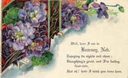 Illustrée Dorée Et Gaufrée : Souvenir De KEARNEY NEBRASKA . 1909 - Kearney