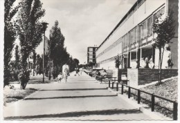 VILLENEUVE LA GARENNE  UNE VUE DES ECOLES - Villeneuve La Garenne