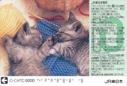 JAPON / TITRE DE TRANSPORT TOKYO / - Chats