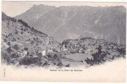 Salvan  Et  La  Dent  De  Morcles - Salvan