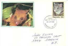Mountain Brushtail (Trichosurus Vulpecula) Sur Entier Postal Adressé A Darwin 1980 - Briefe U. Dokumente