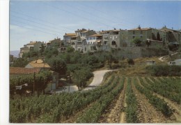 LE CASTELET  - Village  .  CPM - Le Castellet