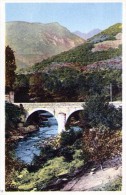 D07 / DEPT 66 CPA PRADES LE PONT CATLAR / NEUVE - Prades